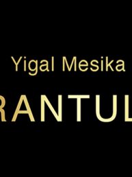 Tarantula II - Yigal Mesika