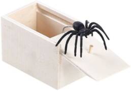 Spider Box Prank