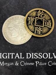 Digital Dissolve (Morgan Version)