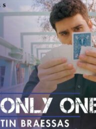 The Only One - Martin Braessas