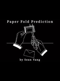 Paper Fold Prediction - Sean Yang