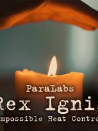 Rex Ignis - Paralabs