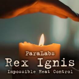 Rex Ignis - Paralabs