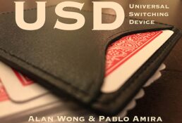 USD Universal Switching Device - Alan Wong & Pablo Amira