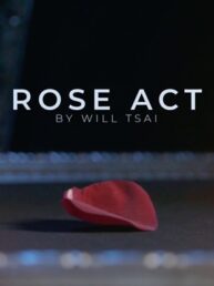 Visual Matrix (Rose Act) - Will Tsai