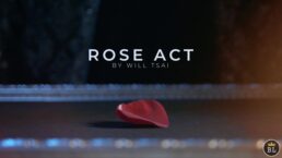 Visual Matrix (Rose Act) - Will Tsai