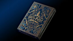 Jeu Harry Potter